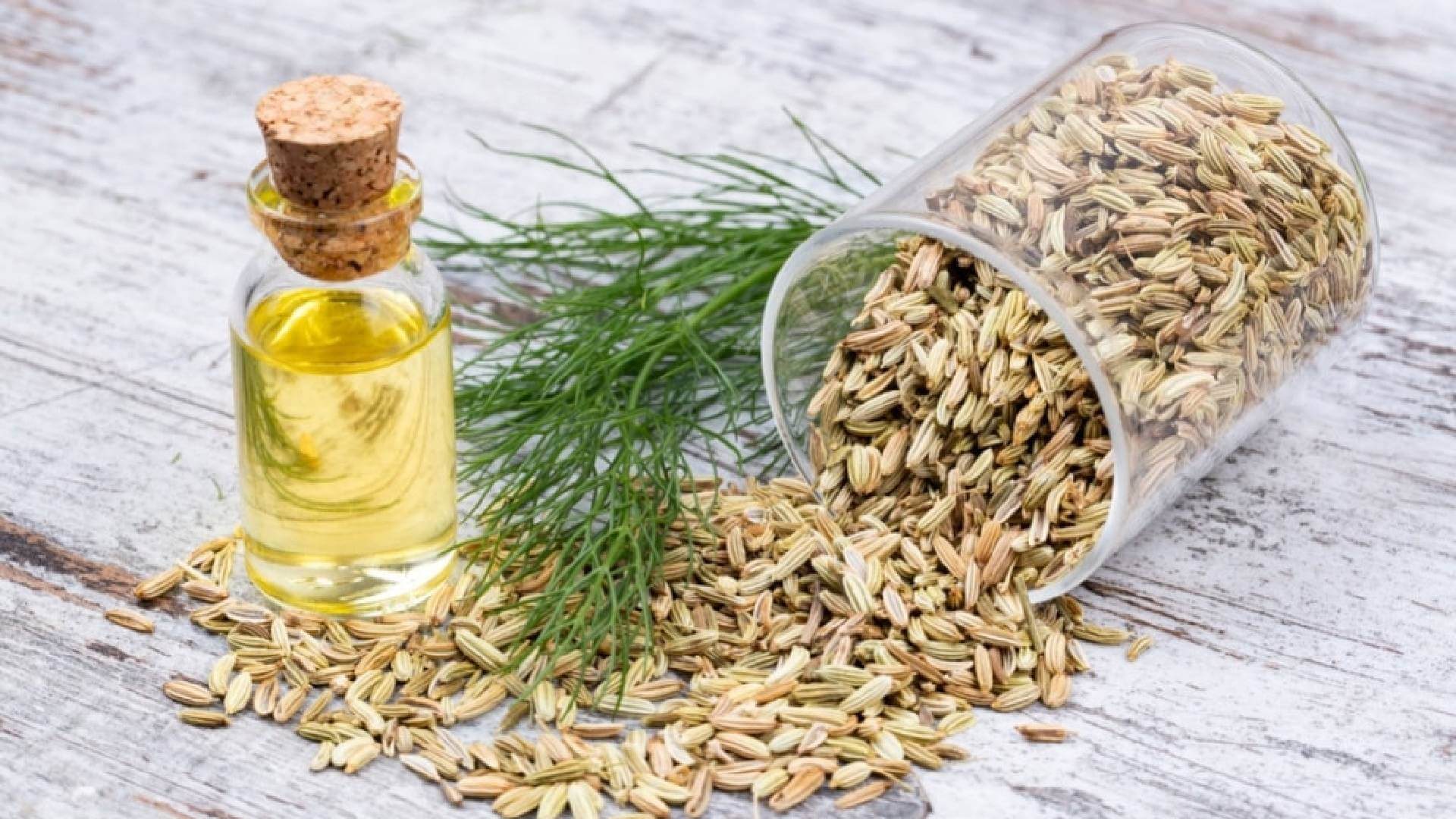 Fennel Seed Oil In Diplomatic Enclave