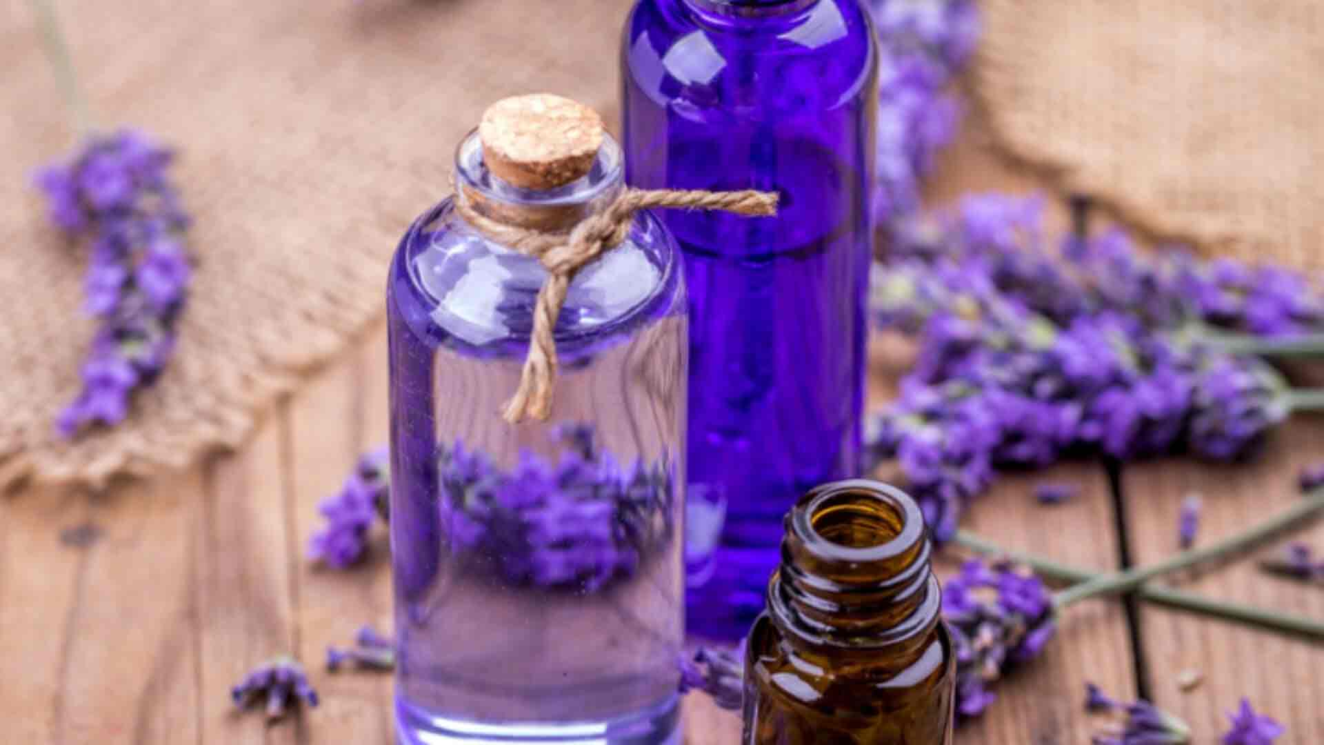 Lavender Oil In Got
