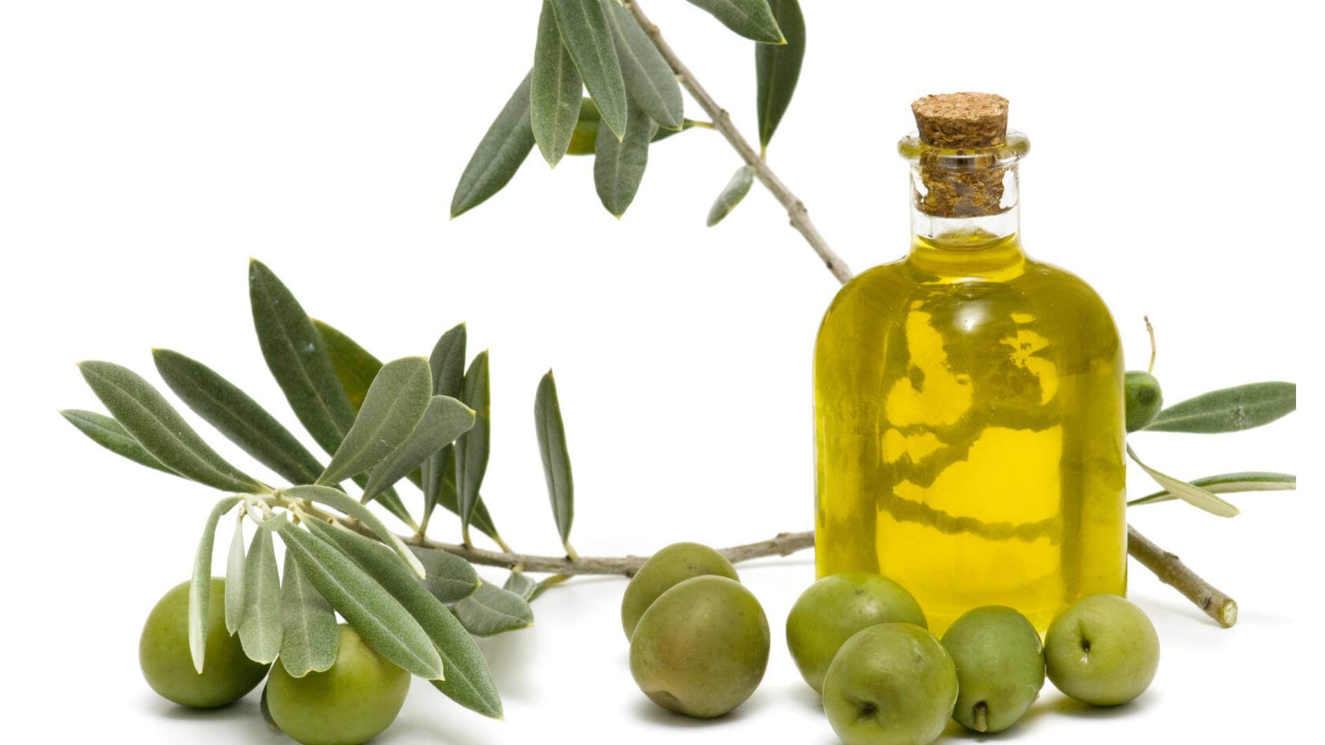 Olive Pomace Oil In Aram Nagar