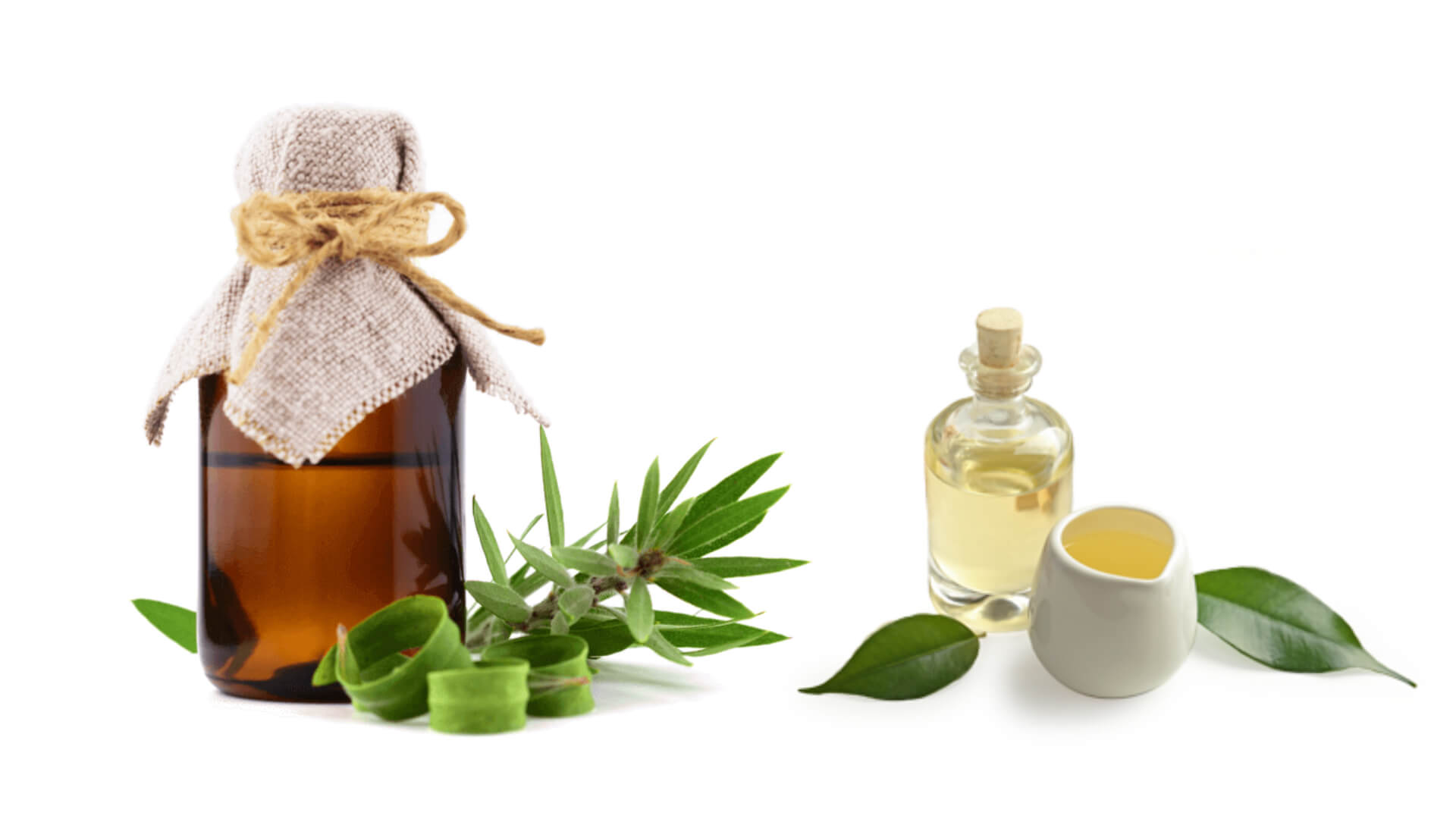Tea Tree Oil In Chemnad